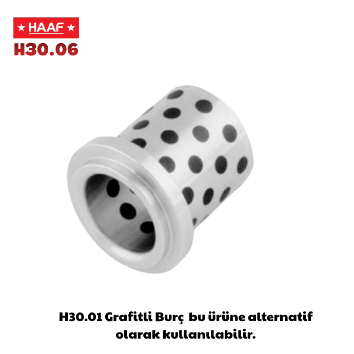 H30.06 Grafitli Burç
